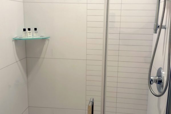 Studio Lakeview Glass Door Shower