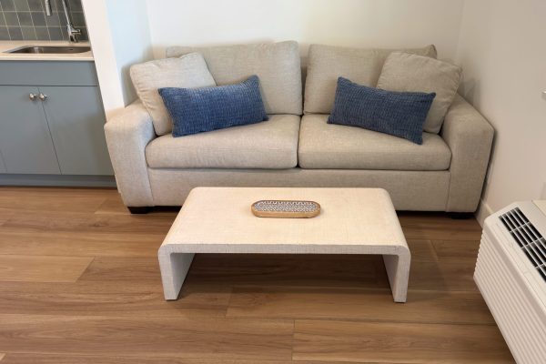 Studio Lakeview Living Room