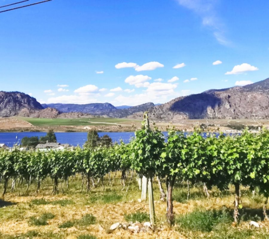Wineries Around Osoyoos Lake
